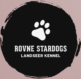 Rovne Stardogs