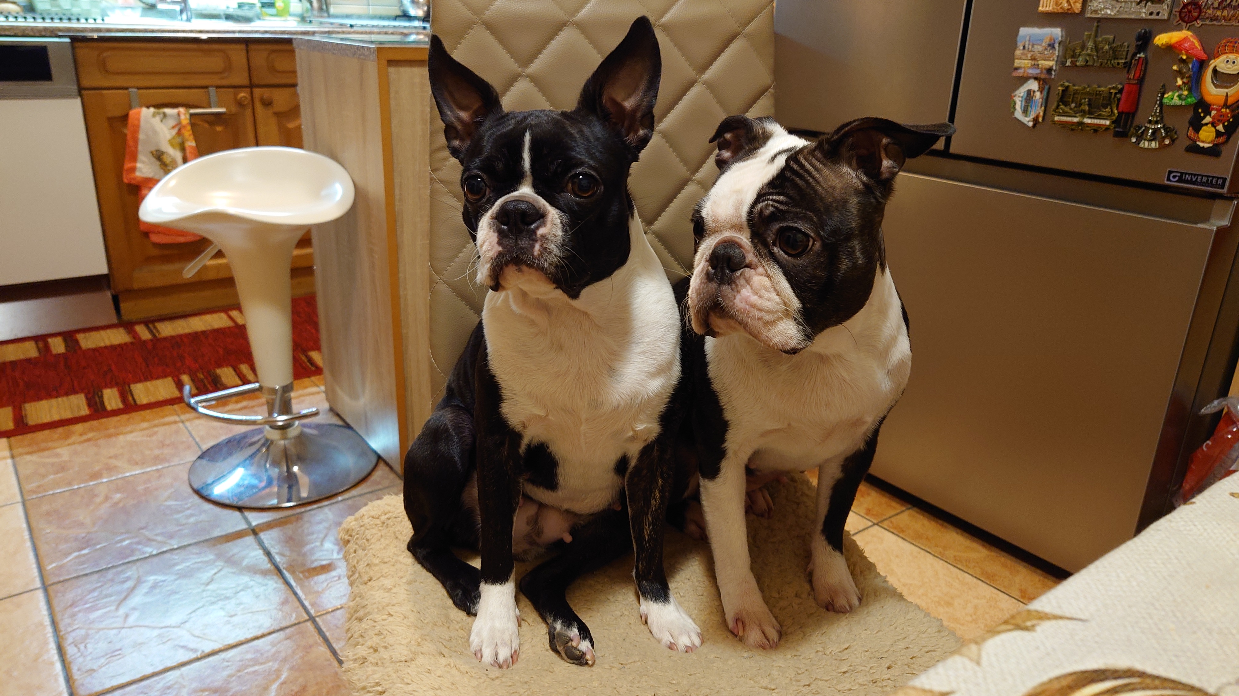 zo Sásovských vrchov