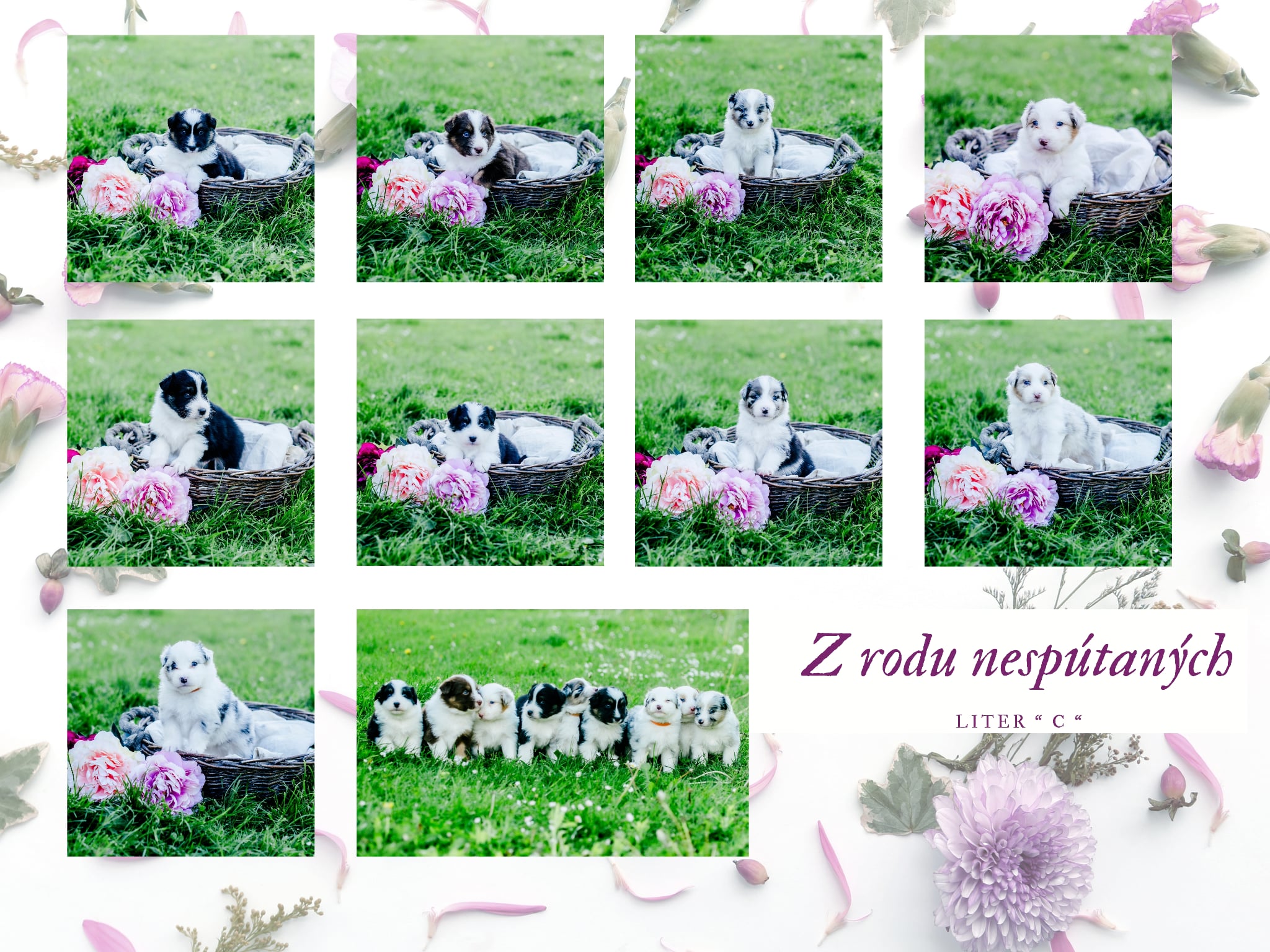 Z rodu nesputanych